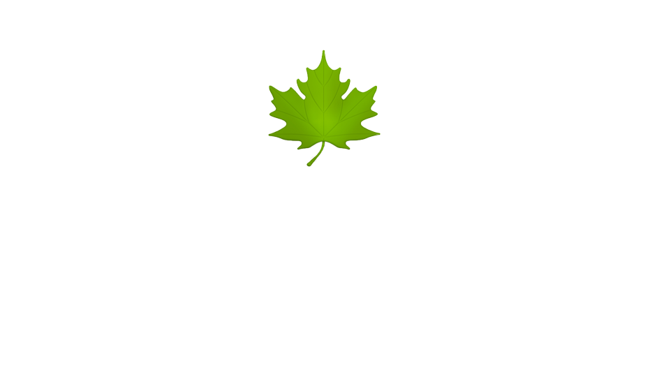 Террасная доска из термодерева